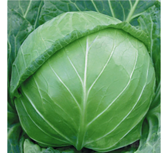 ��Ʒˬ��-���{(l��n)�N��-��Ʒ�r(n��ng)�I(y��)