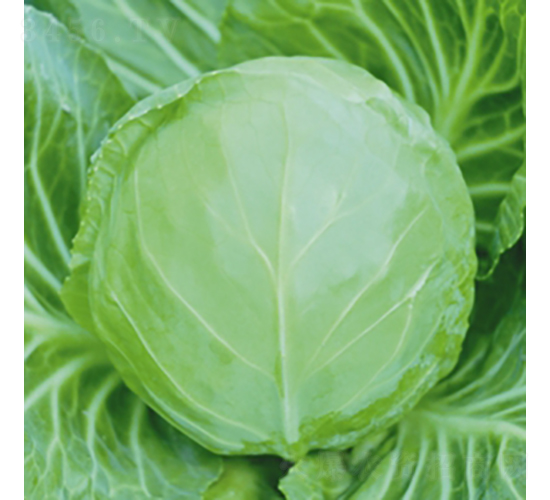 �m���ļ���-���{�N��-��Ʒ�r(n��ng)�I(y��)