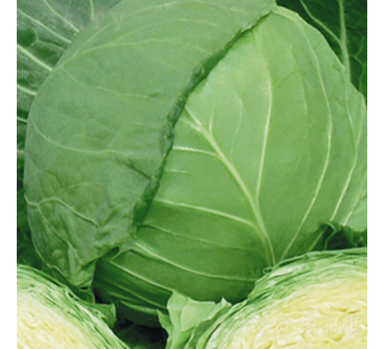 �F��4̖(h��o)-���{(l��n)�N��-��Ʒ�r(n��ng)�I(y��)