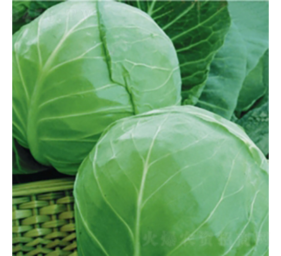 ���m�G��9̖-���{�N��-��Ʒ�r(n��ng)�I(y��)