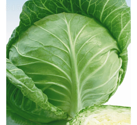 ���m�G��-���{(l��n)�N��-��Ʒ�r(n��ng)�I(y��)