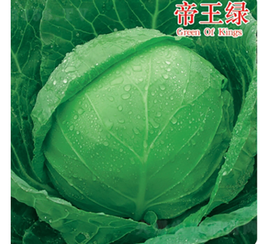 �����G-���{�N��-��Ʒ�r(n��ng)�I(y��)