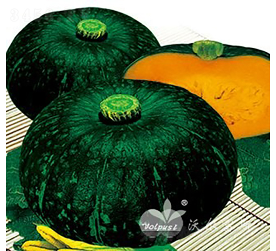 ����һ̖(h��o)F1����Ʒ�|(zh��)�߮a(ch��n)���GƤ�A�Ϲϣ�-�ϹϷN��-�֠���˹