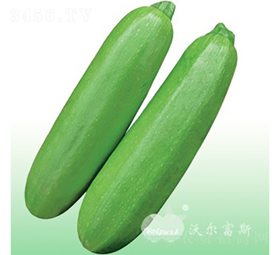 ��������208F1���߮a(ch��n)��G���������J��-�����J�N��-�֠���˹