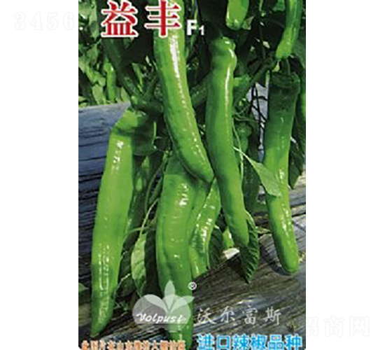 ���SF1���M(j��n)���������������-�����N��-�֠���˹