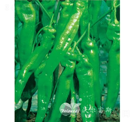 ����������F1���߮a(ch��n)�����������-�����N��-�֠���˹