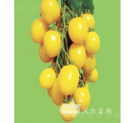 �ʹ�F1���SɫС���ѣ�-���ѷN��-�֠���˹