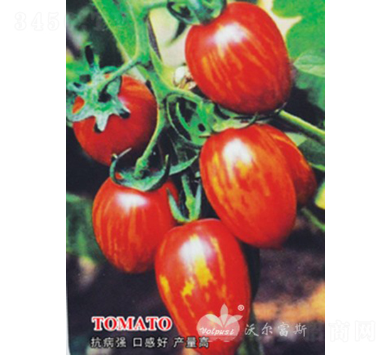 �ʼtһ̖F1���t�S���y��ɫС���ѣ�-���ѷN��-�֠���˹