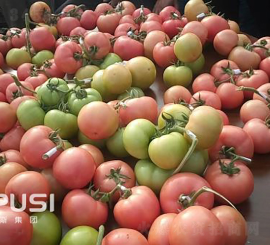 ���۾�̖(h��o)F1����TY�۹����ѣ�-���ѷN��-�֠���˹