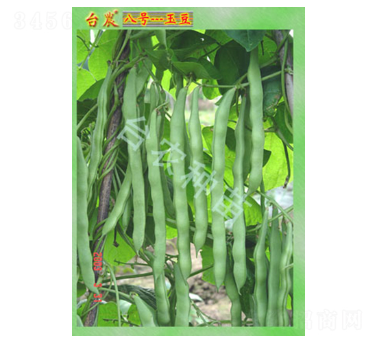 �_(t��i)�r(n��ng)8̖(h��o)��-�˶��N��-�_(t��i)�r(n��ng)�N��