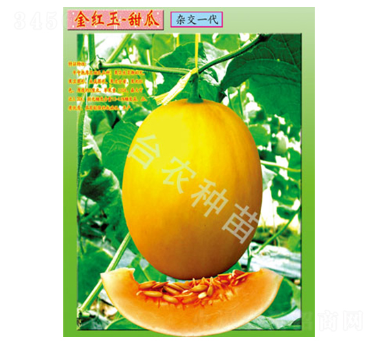 �_�r(n��ng)��t�����-��ϷN��-�_�r(n��ng)�N��