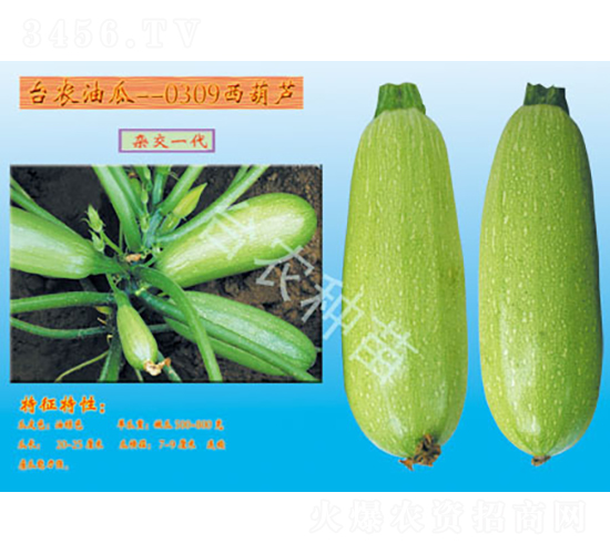 �_�r(n��ng)0309�����J-�����J�N��-�_�r(n��ng)�N��