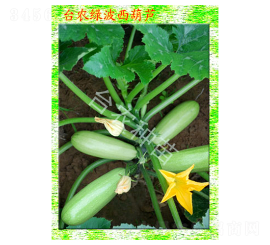 �_�r�G�������J-�����J�N��-�_�r�N��