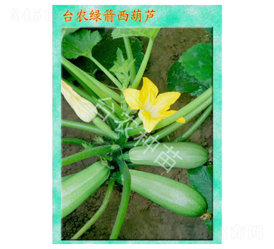 �G�������J-�����J�N��-�_(t��i)�r(n��ng)�N��