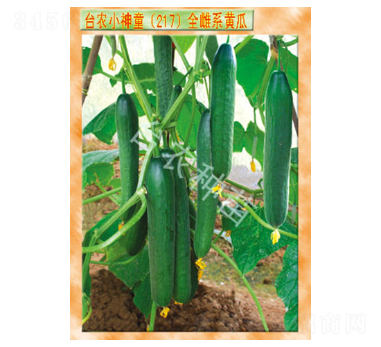 С��ͯ217ȫ��ϵ�S��-�S�ϷN��-�_�r(n��ng)�N��