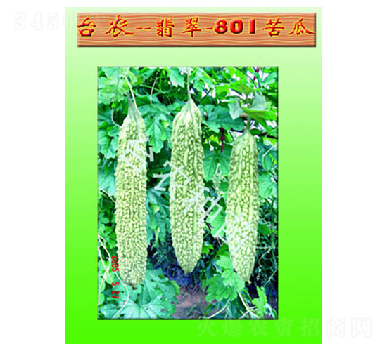 ���801�׿��-��ϷN��-�_(t��i)�r(n��ng)�N��