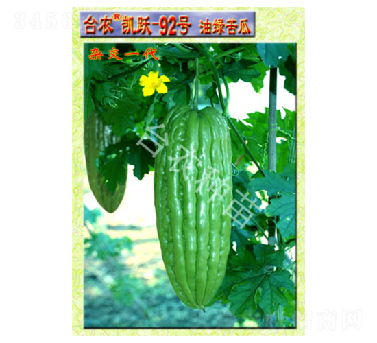 �_(t��i)�r(n��ng)�P�S�;G���-��ϷN��-�_(t��i)�r(n��ng)�N��