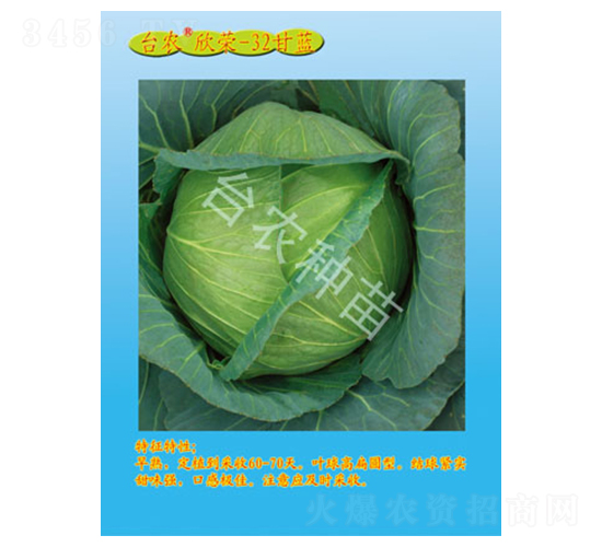 ���s32̖���{-���{�N��-�_�r�N��