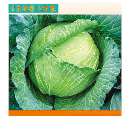 �_(t��i)�r(n��ng)��ο32���{(l��n)-���{(l��n)�N��-�_(t��i)�r(n��ng)�N��