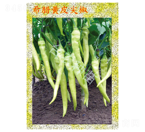 ϣ�D�SƤ�⽷-�����N��-�_(t��i)�r(n��ng)�N��