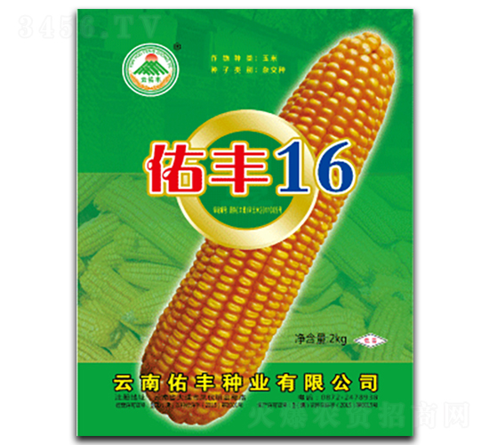 ���S16-���׷N��-�������S�N�I(y��)