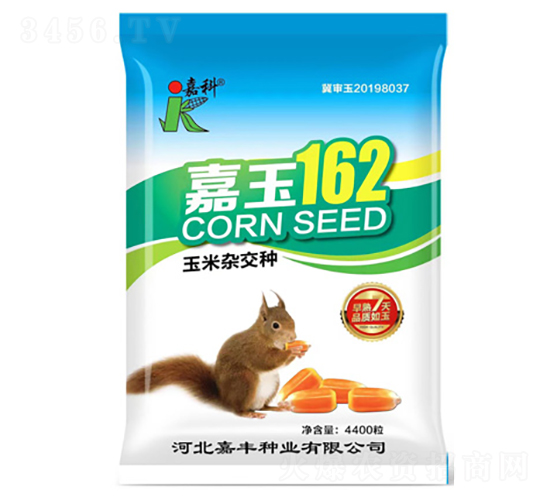 ����162-���׷N��-�ο�