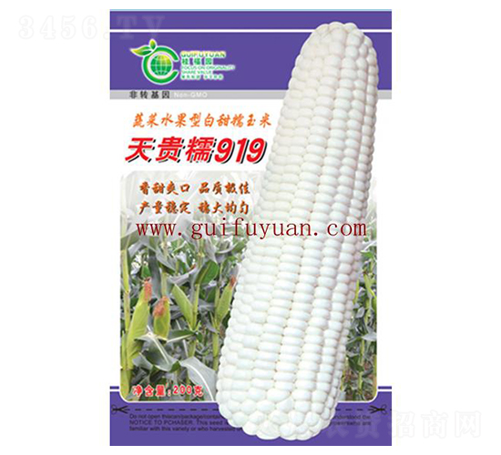 ���FŴ919-���׷N��-�𸣈@�r(n��ng)�I(y��)