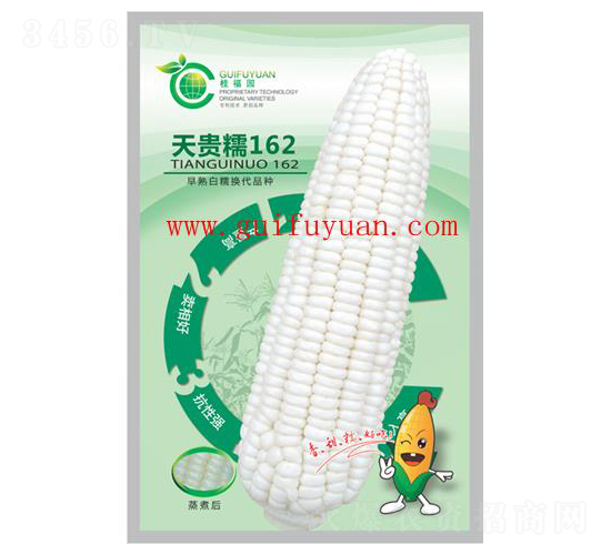 ���FŴ162-���׷N��-�𸣈@�r(n��ng)�I(y��)