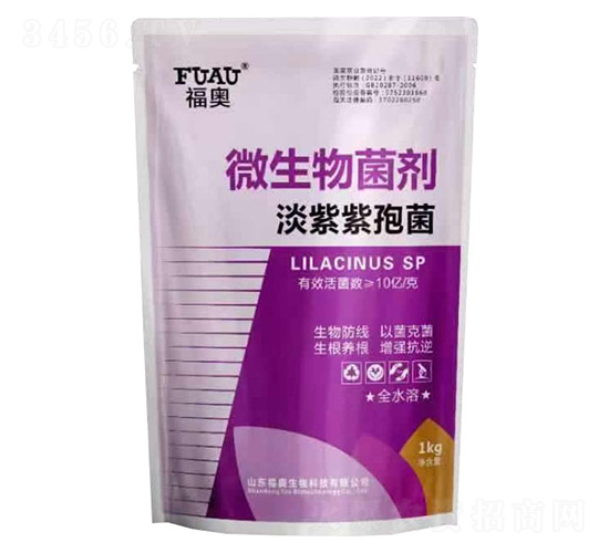 ΢�������-�������߾�-���W