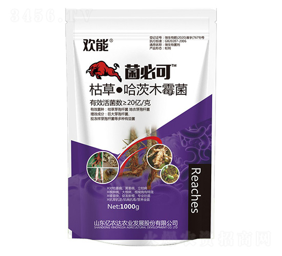 �ݲݡ�����ľù��-���ؿ�-�|�r(n��ng)�_(d��)�r(n��ng)�I(y��)