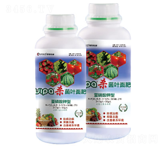 ���������������-�s�ͿƼ�