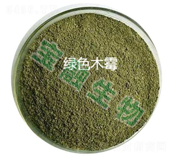 �Gɫľù-��������