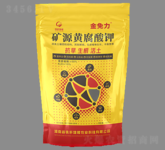 �VԴ�S�����-������-�F�U�۸�