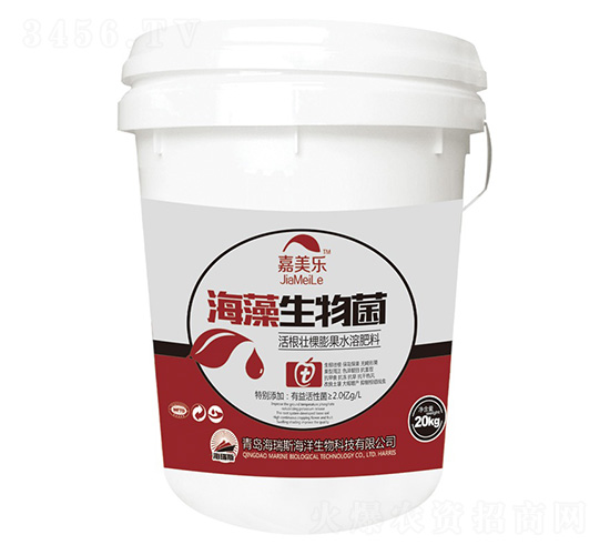 ���������-������-����˹