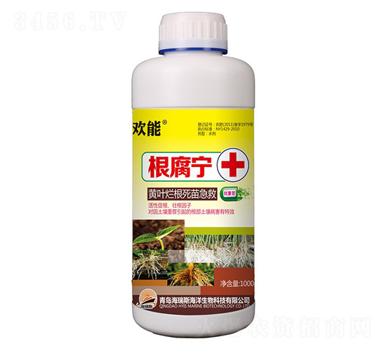 1000g�g�ܡ�������+�S�~�������缱��-����˹