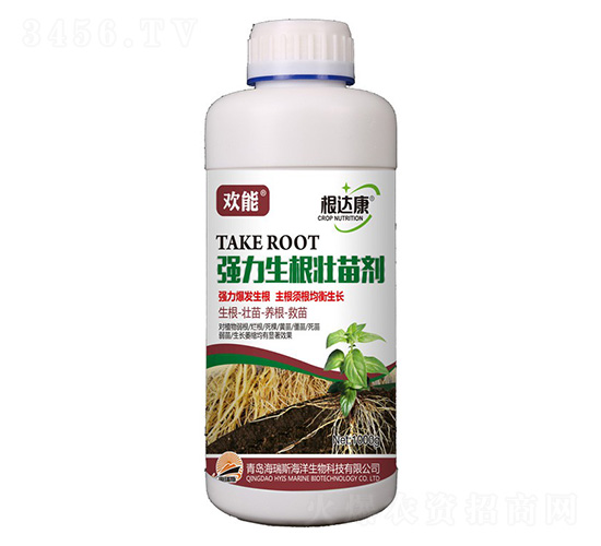 1000g�g�ܡ����_���������������焩-����˹