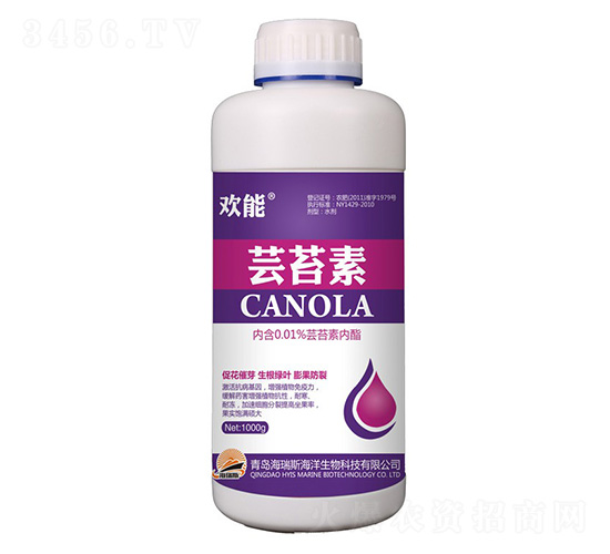 1000g�g�ܡ��|̦��-����˹