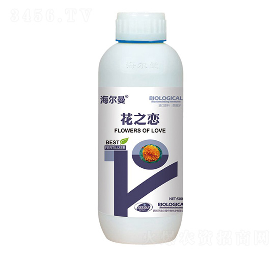 ����������֮��-����˹