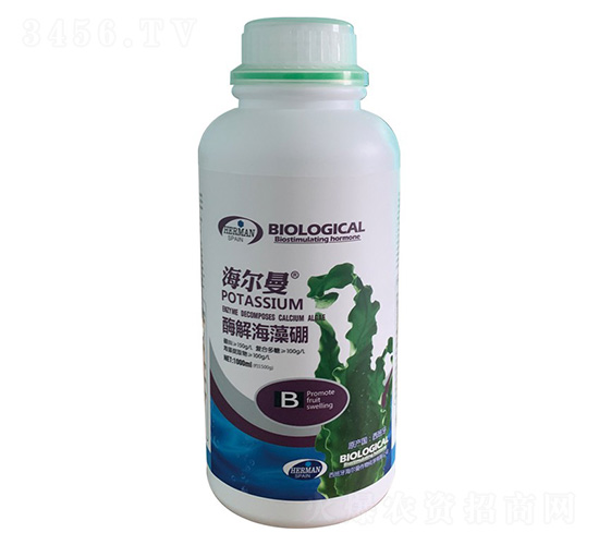 ø�⺣����-������-����˹