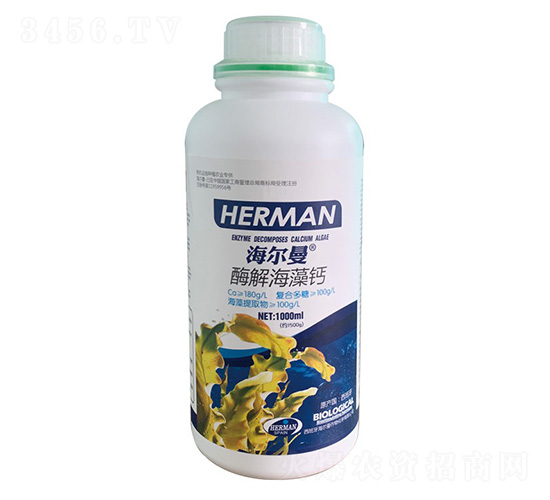 ø�⺣���}-������-����˹