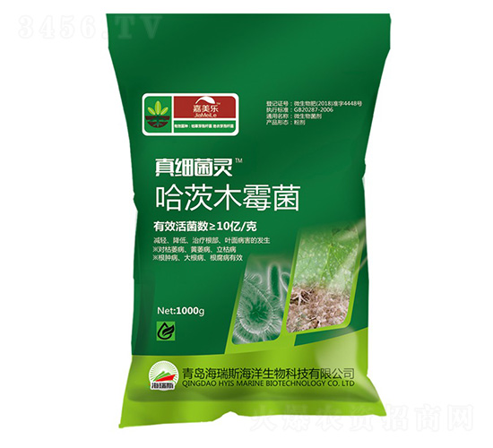 ����ľù��-�漚(x��)���`-������-����˹