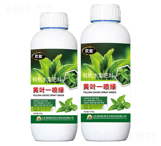 �S�~һ���G-�g��-����˹