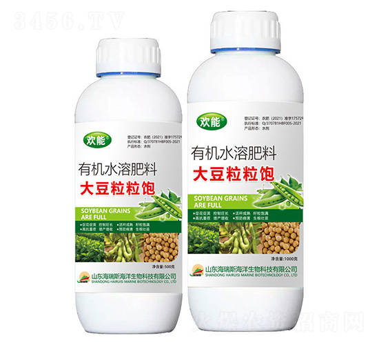 �������-�g��-����˹