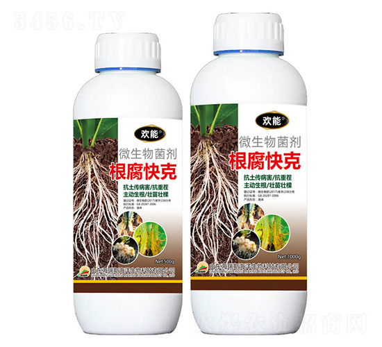 ΢�������-�������-�g��-����˹