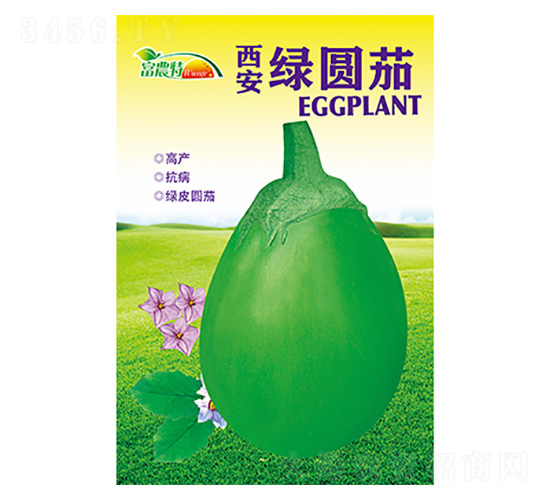 �����G�A��-����