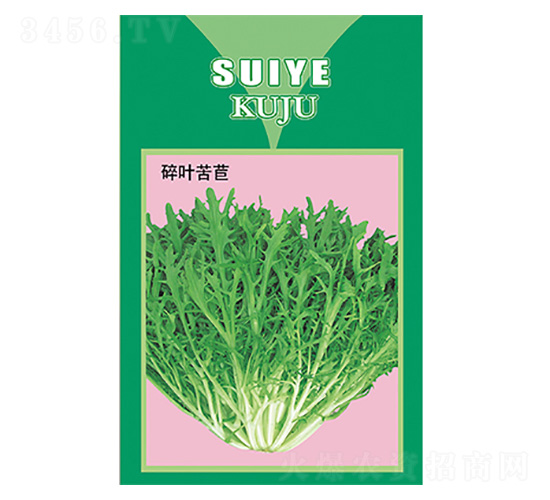 ���~����-����