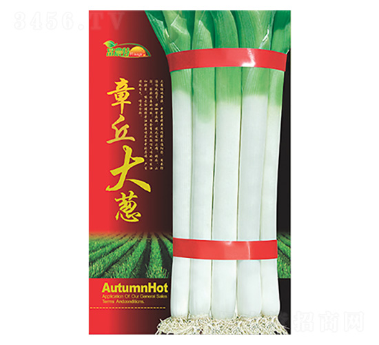 ������[-����