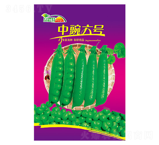 �㶹�N��-������̖(h��o)-����