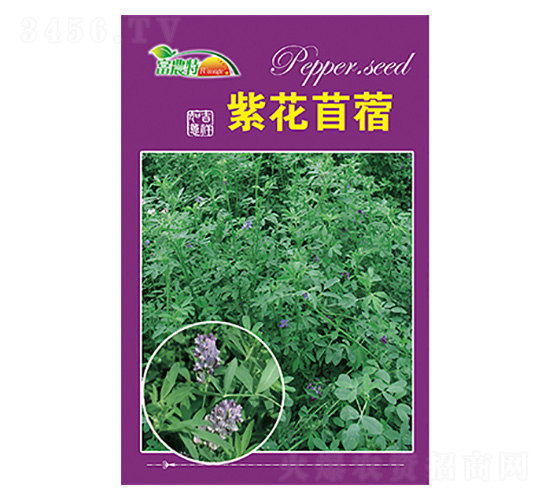 �ϻ���ޣ-����