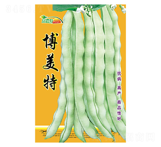 �|���N��-������-����